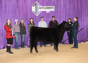 PGS Heifer Division 3