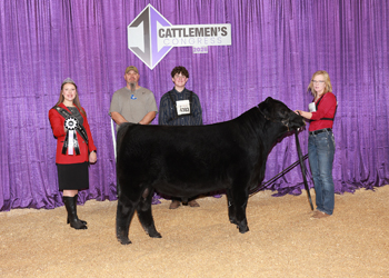 Reserve Summer Bull Calf Champion