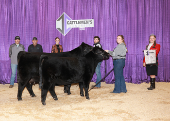 Grand Champion Cow-calf Pair