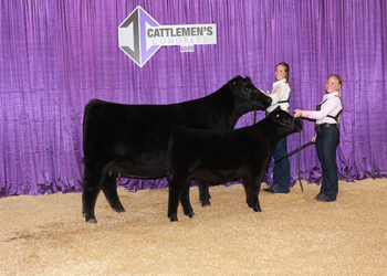 Senior Champion Female