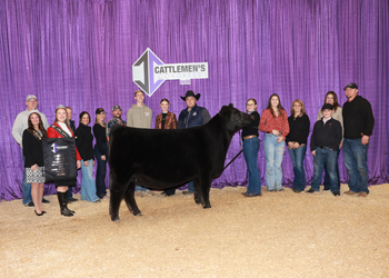 Reserve Grand Champion Bred-and-owned Female