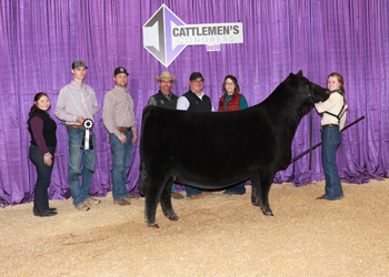 Reserve Junior Champion Heifer