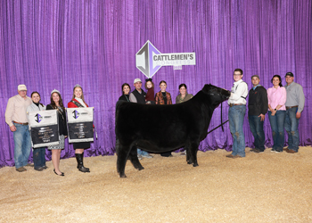 Grand Champion Female