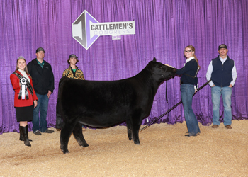 Reserve Senior Heifer Calf Champion-Division 2