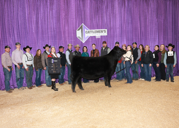 Reserve Grand Champion Female