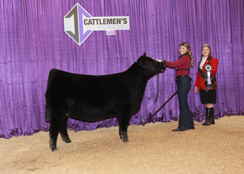 Bred-and-Owned Reserve Senior Hfr Calf-Division 2