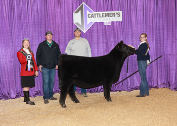 Junior Heifer Calf Champion-Division 2