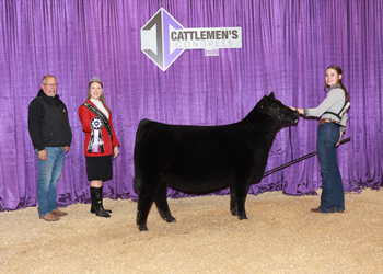 Junior Heifer Calf Champion-Division 1