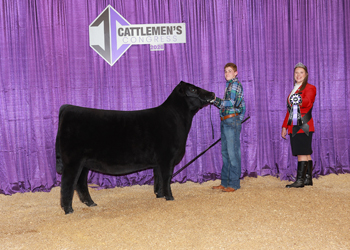 Junior Heifer Calf Champion-Division 4