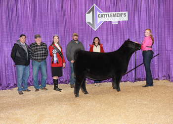 Junior Heifer Calf Champion-Division 3