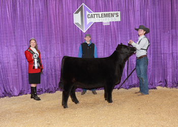 Bred-and-Owned Res Junior Heifer Calf-Division 1