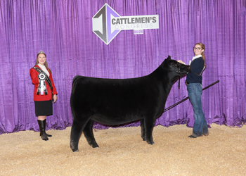 Reserve Junior Heifer Calf Champion-Division 1