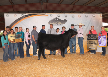 Grand Champion Female