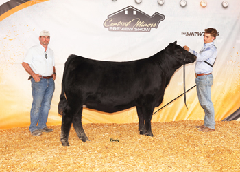 Reserve Early Junior Champion Heifer