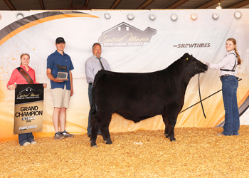Grand Champion Steer