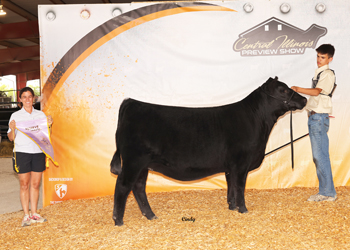 Reserve Late Junior Champion Heifer