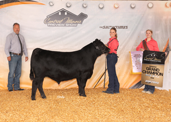 Reserve Grand Champion PGS Bull