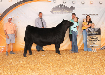 Reserve Grand Champion Steer
