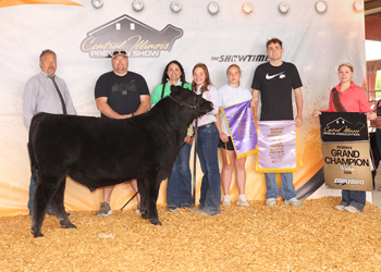 Reserve Grand Champion Bull