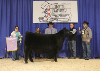 Reserve Grand Champion Female