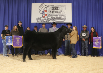 Grand Champion Female
