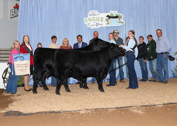 Grand Champion Cow-calf Pair