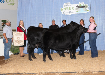 Reserve Grand Champion Cow-calf Pair
