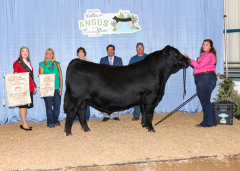 Reserve Grand Champion Bred-and-owned Bull
