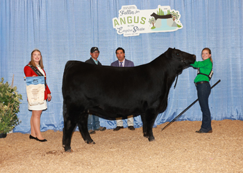 Owned Senior Champion Female