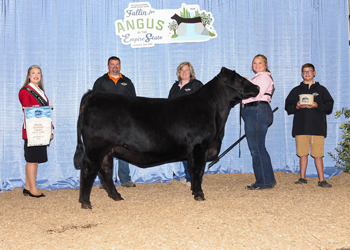 Bred-and-owned Senior Champion Female