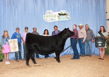 Reserve Grand Champion Owned Female