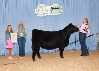 Owned Reserve Junior Champion Heifer--division 1