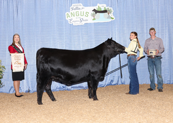 PGS Heifer Division 1