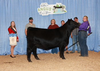 Owned Junior Champion Heifer--division 1