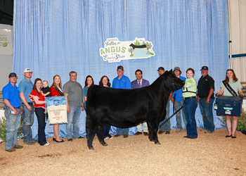 Grand Champion Owned Female