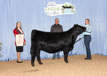 Bred-and-owned Reserve Junior Champion Heifer