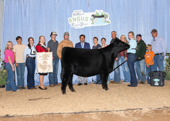 Reserve Grand Champion Bred-and-owned Female