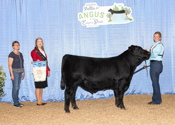 Bred-and-owned Senior Bull Calf Champion