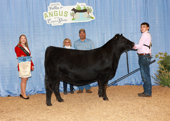 Owned Intermediate Champion Heifer