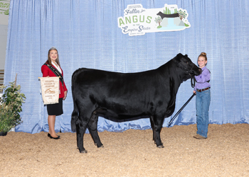 PGS Heifer Division 3