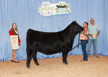 Owned Reserve Intermediate Champion Heifer