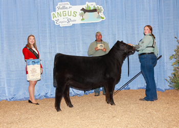 Owned Senior Heifer Calf Champion