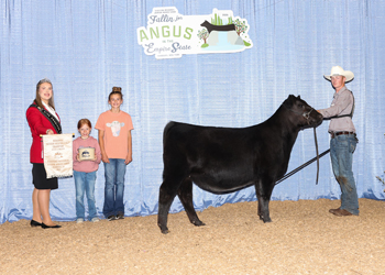 Bred-and-owned Reserve Senior Heifer Calf Champion