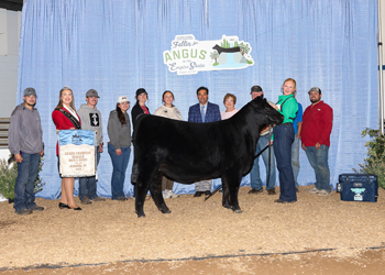 Grand Champion Bred-and-owned Female