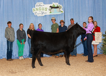 Owned Reserve Senior Heifer Calf Champion