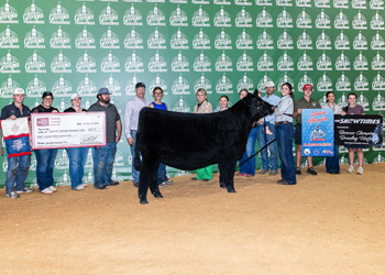 Reserve Grand Champion Owned Female