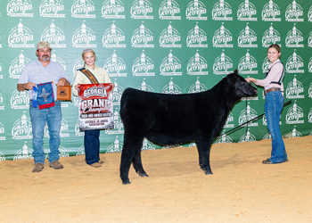 Grand Champion Bred-and-owned Female