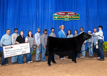 Grand Champion Owned Female