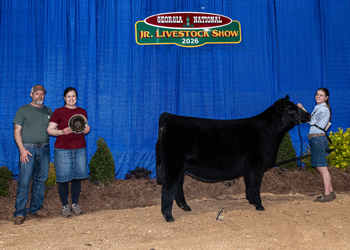 Reserve Grand Champion Owned Female