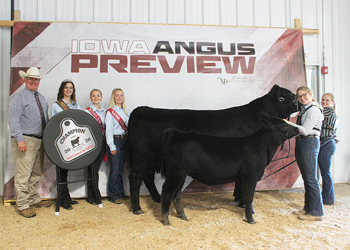 Grand Champion Bred-and-owned Cow-calf Pair